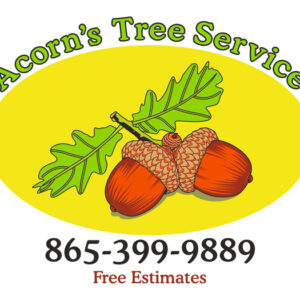 Acorns-Tree-Service-Magnet-Edit